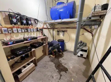 Kỹ thuật nuôi chim yến trong nhà hiện đại và hiệu quả nhất